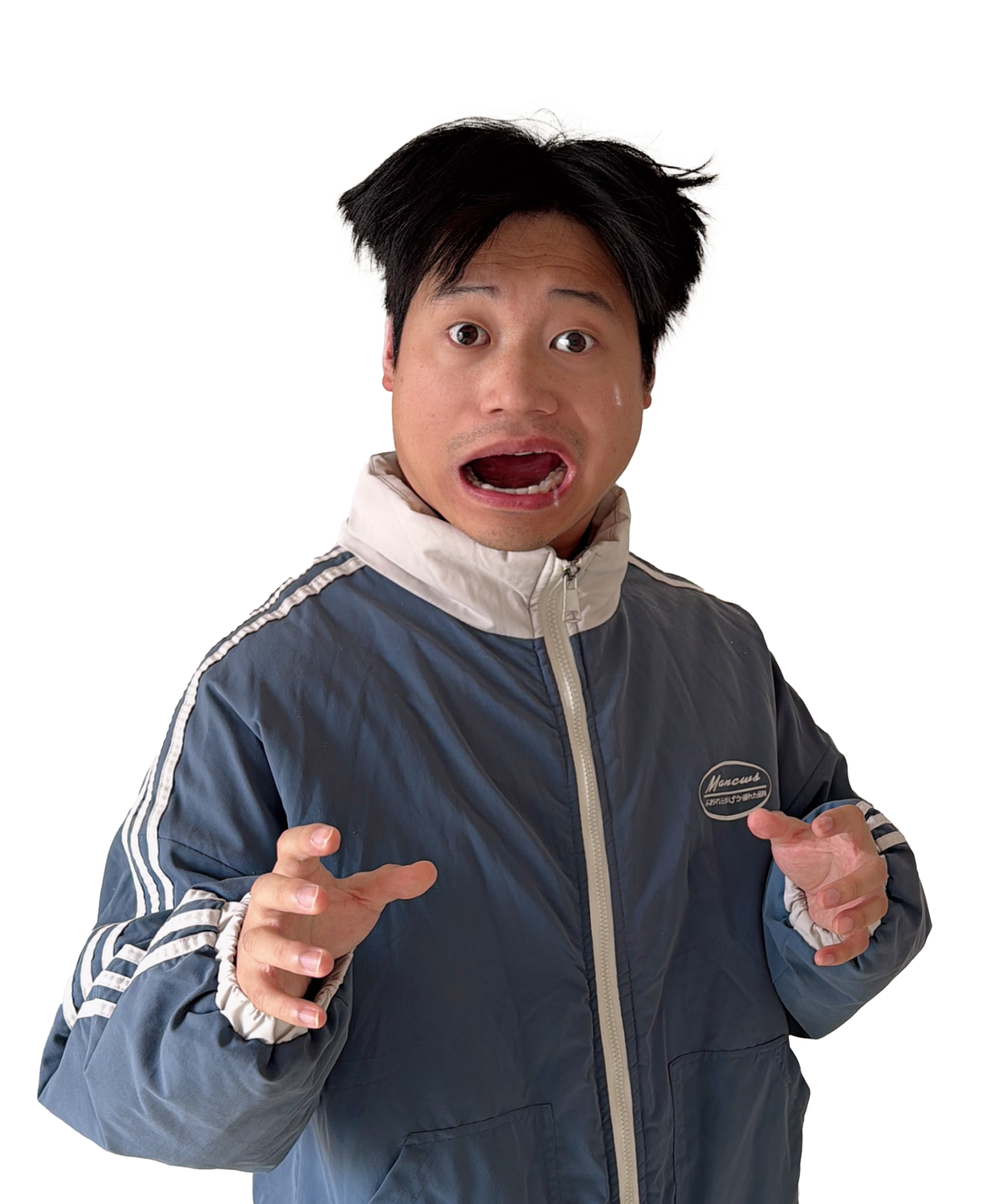 疯言文语